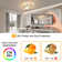 Audriauna 2-Light Dimmable Flush Mount Ceiling Light with Remote Control