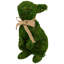 Lapin vert 10,5