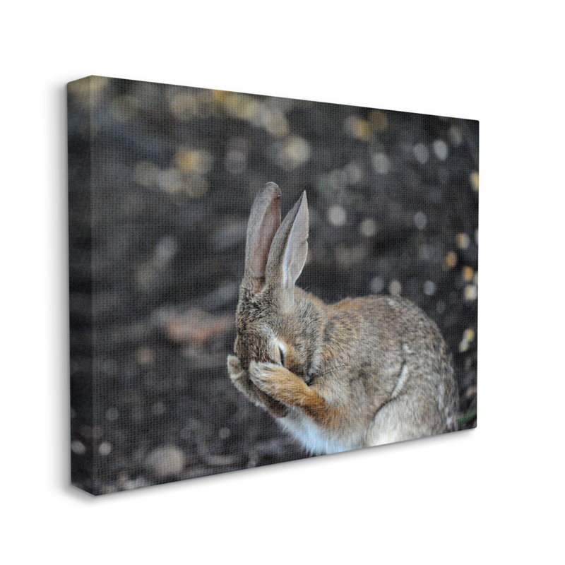 " Embarrassed Rabbit " by Daniel Friend, 36" H x 48" W x 1.5" D