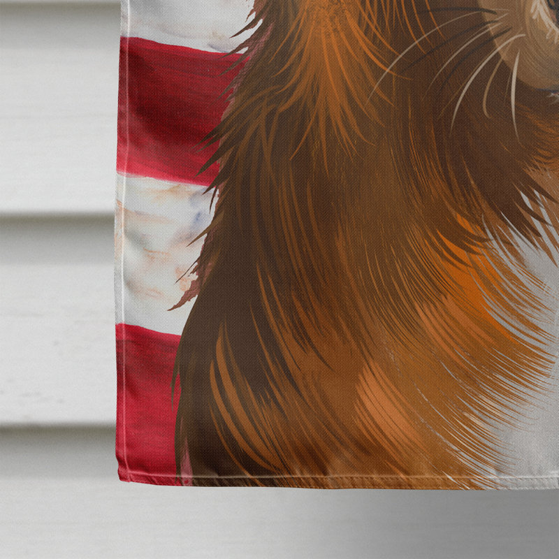 Polyester à 2 côtés 28 x 40 po drapeau maison, Berger basque