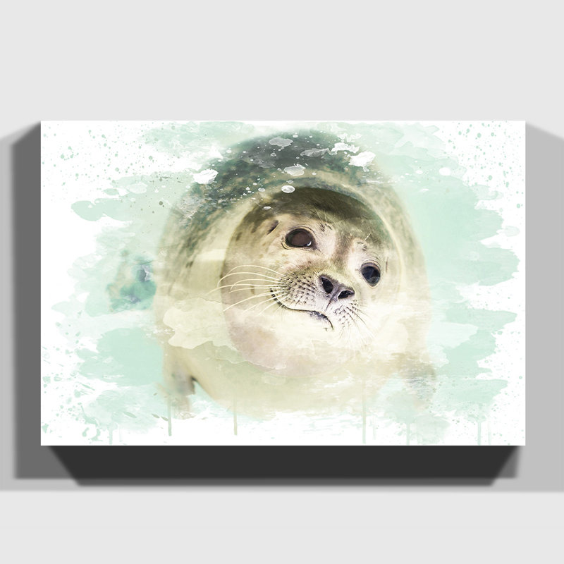 Seal - Wall Art, Wrapped Canvas, 42cm H x 59.4cm W x 0.01cm D