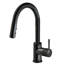 Robinet de cuisine Highcraft-98578839