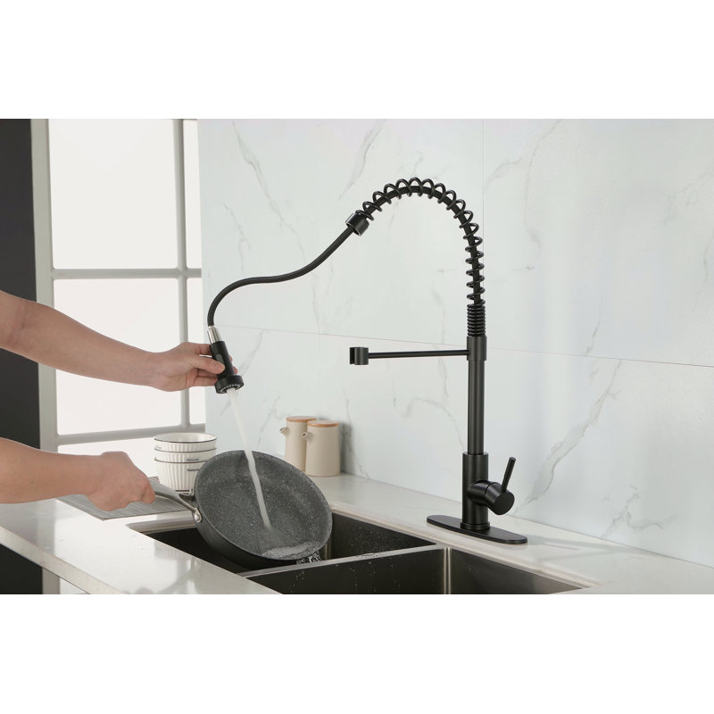 Robinet de cuisine à ressort avec douchette extractible, robinet d'évier de cuisine monocorps en acier inoxydable