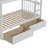 Gammons Kids Twin Over Twin Bunk Bed-989703671
