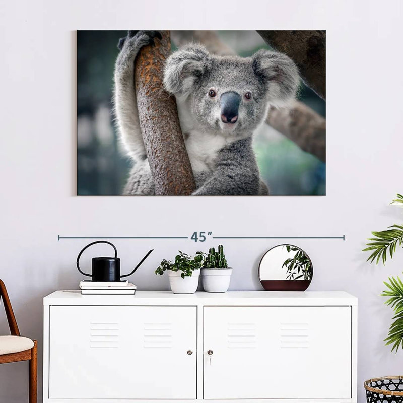 Brampt Happy Koala, 26" H x 39" W