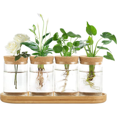 Vase en verre avec couvercle et support en bois