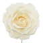 Grande tige rose en mousse-132110118-132110114