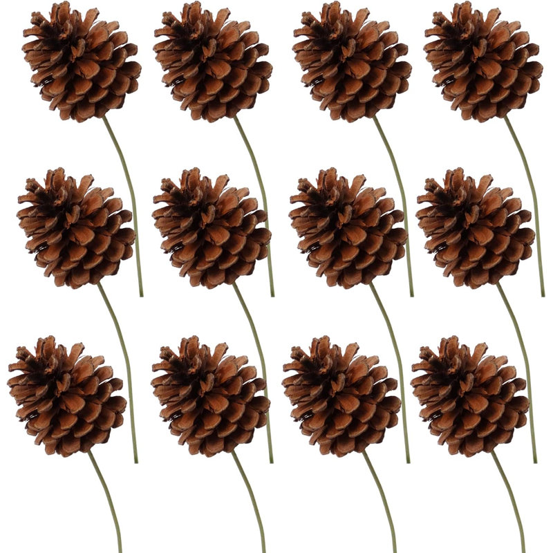 Médiators laqués en pin (ensemble de 12)