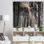 «Sunbeam Through Black White Forest», photographie-35125691-35125694