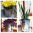 Gracie Oaks Decorative Bin-165794598