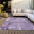  Machine Washable Indoor/Outdoor Chayden ACN1062 Rug-1651849081