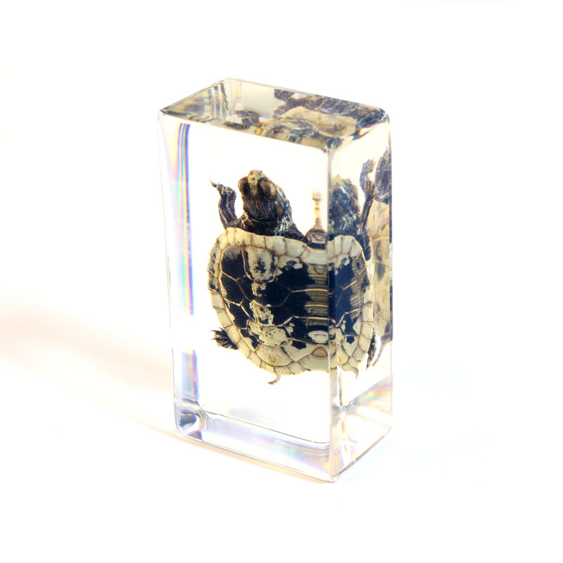 Auten Animals Figurines & Sculptures