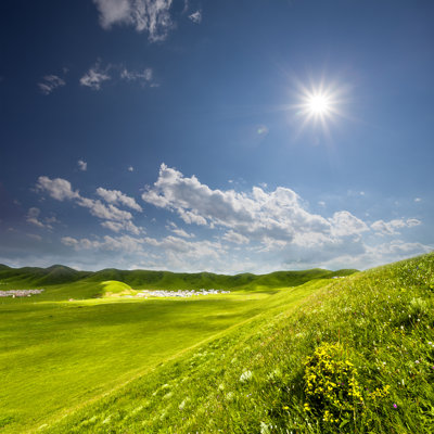 " Green Landscape " by Zhudifeng