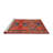 Oriental Indoor Rug-479327450