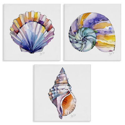 Sunlit Seashells Watercolors 3pc Canvas Set, design by Shelly Craig