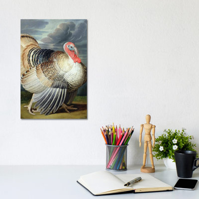 Portrait of a Turkey  - Wall Art Print - Wrapped Canvas