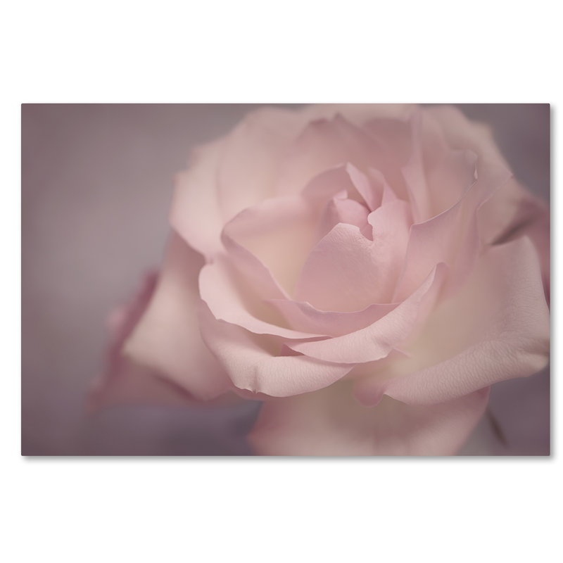 « tendrey », reproduction de photo sur toile tendue, H 16 po x l 24 po x P 2 po