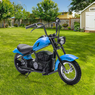 24V 250W Kids Electric Dirt Bike, Two Speed Electric Motorcycle with Max 14MPH, 60 Minutes Continuous Ride, LED Lights, Leather Seat and Rear Brake