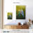 Budgie Siesta-725918904