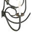 Pedrotti 10 - Light Chandelier