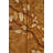 Calyx 2-Door Sideboard