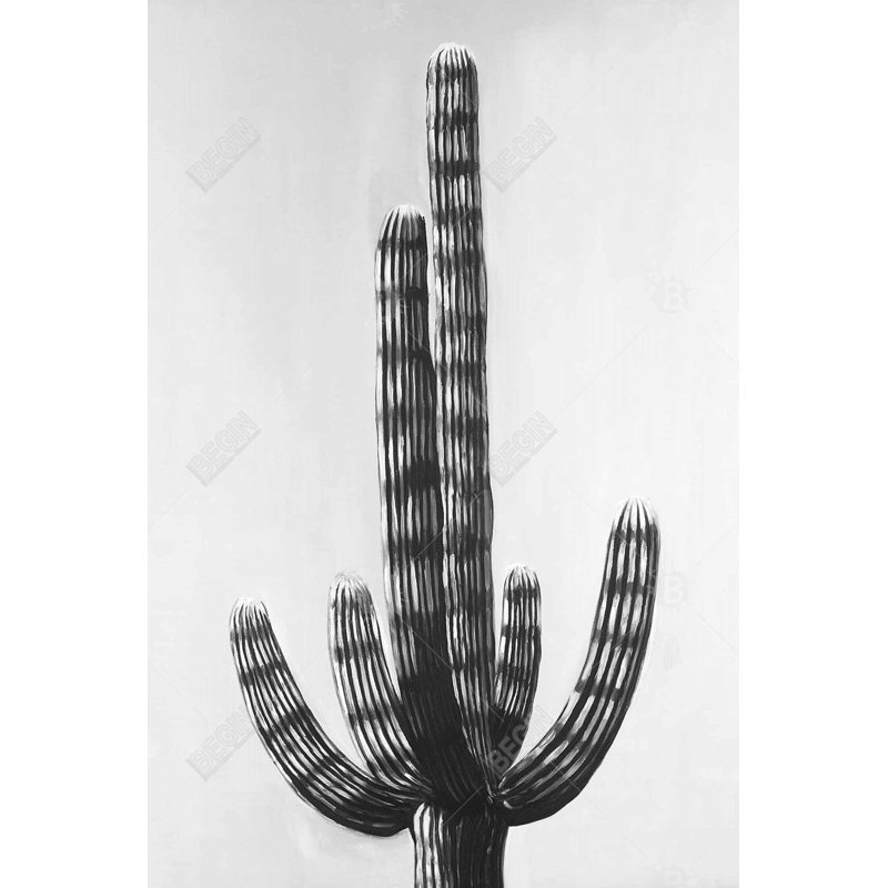 " Cactus "