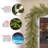 Norwood Fir Garland with Clear Lights-1197337867