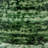 Vase de table Hollingshead Image of Nature