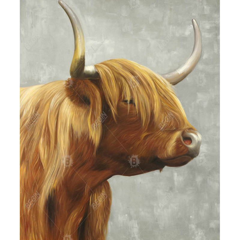 Magnifique bovin Highland