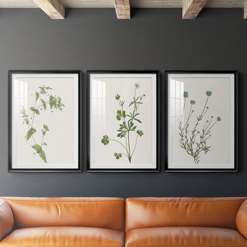 «Wispy Botanical I», reproduction encadrée de qualité supérieure - prête à être accrochée, H 24,5 po x l 37 po x P 2,5 po