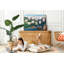 Besteiro Cork Corkboard / Bulletin Board