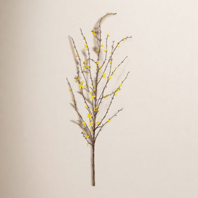 Dorrian Forsythia Stem