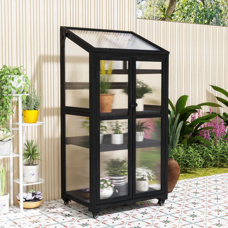 Serre portative en bois avec tablettes réglables, structure froide sur roulettes pour l'intérieur et l'extérieur, Noir