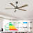 Leresa 60'' Ceiling Fan with LED Lights-458441612