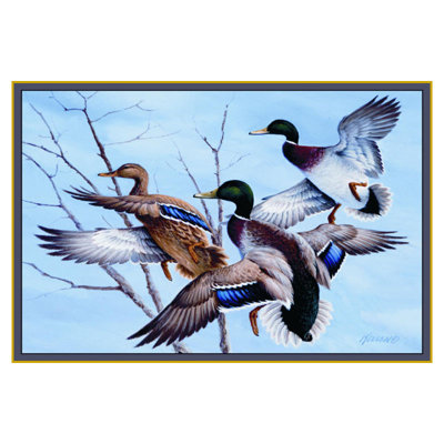 Tapis bleu / brun Junie