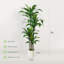 Ruxin Faux Tree-646797457