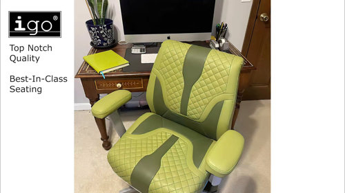 igo Low Back Game Chair with Air Cushion by igo & Reviews