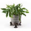 Alexis Weather Resistant Planter Feet