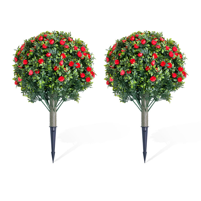 60cm Plant