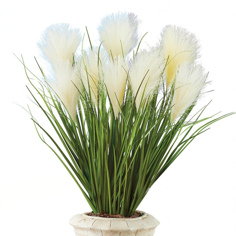 Pampas