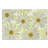 'Daisy Flowers' Photographic Print on Wrapped Canvas-32709488