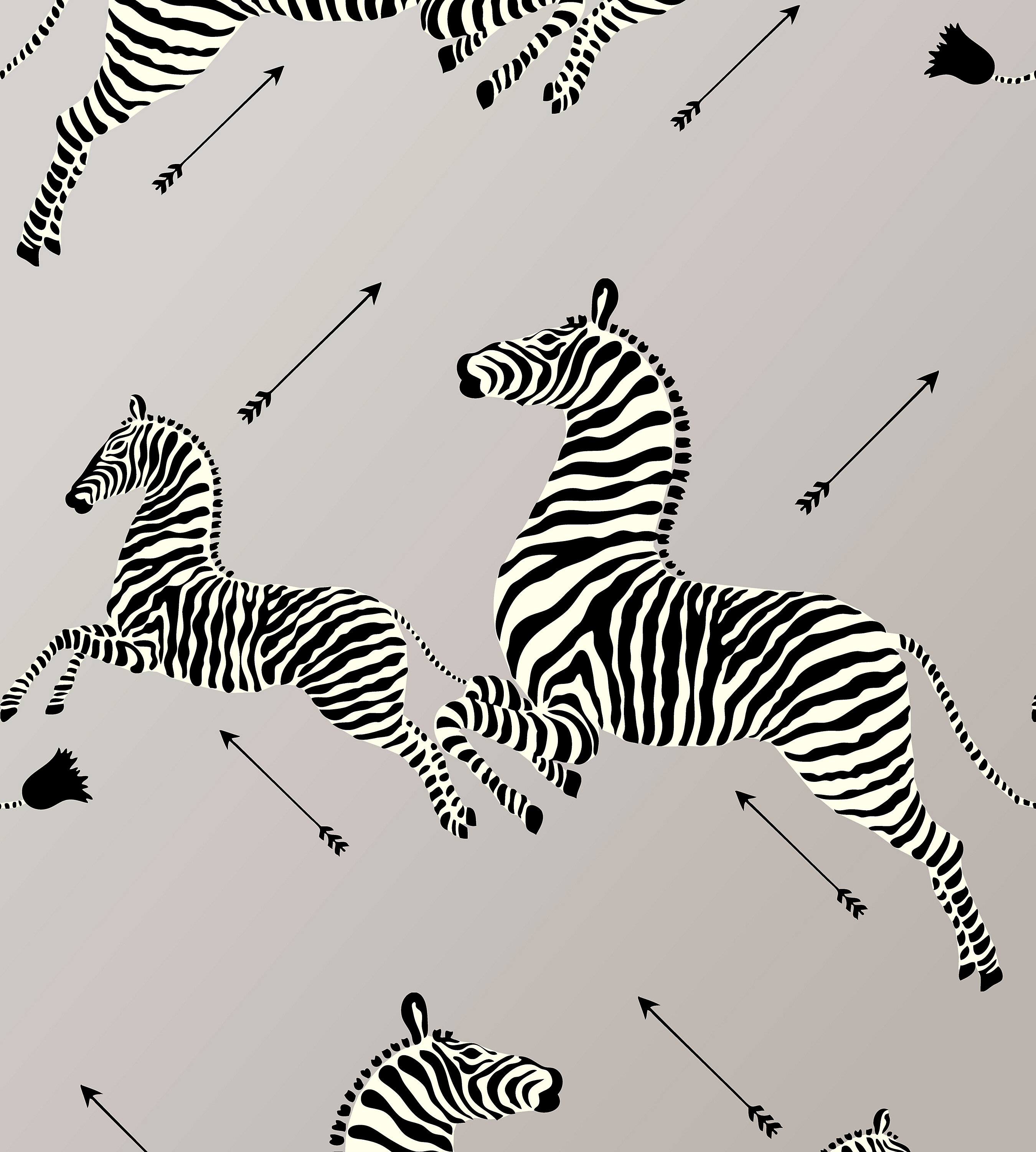 Zebra Phone Wallpaper  Mobile Abyss