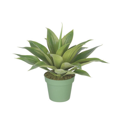 Faux Succulent Plant in Pot Liner