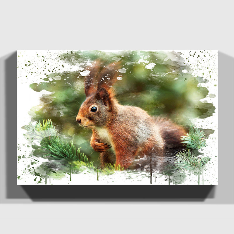 Red Squirrel - Wall Art, 50cm H x 76cm W, Wrapped Canvas