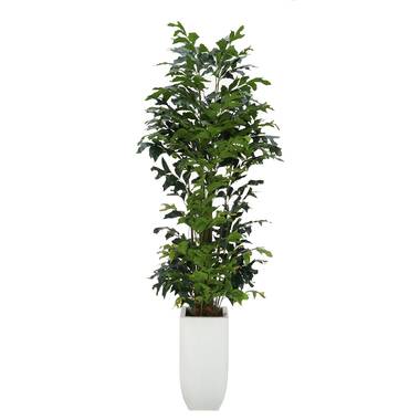 Primrue 75'' Faux Olive Tree Tree in Metal Planter