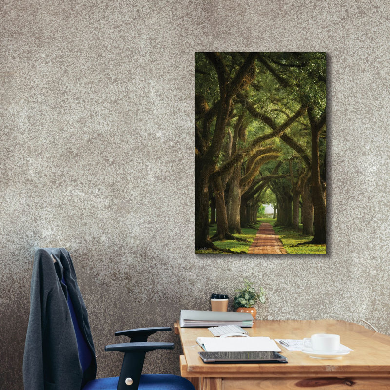  «Live Oaks In The Morning Light» par Martin Podt, art mural sur toile, 26 po x 40 po