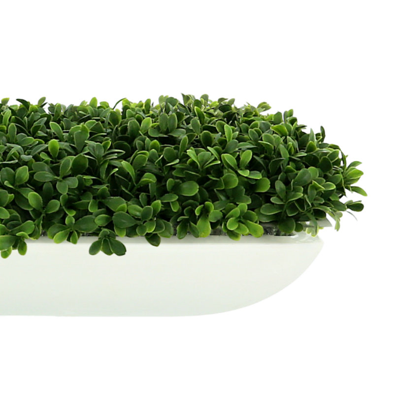 UV Rated Outdoor Boxwood Arrangement, 6" H x 21" W x 10" D, White