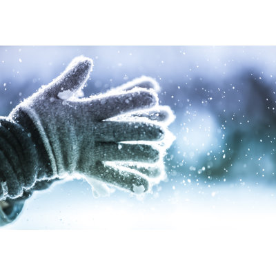 Playful Winter by Mitja2