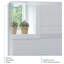 Seidman Flat Wall Mirror-545696860
