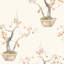 Kaki Persimmon-1129533121